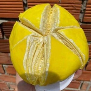 bánh crep sầu riêng