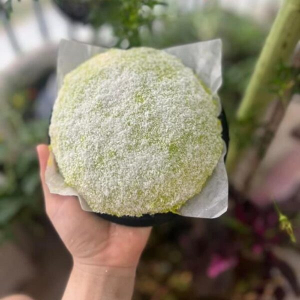bánh phú sĩ