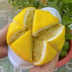 bánh crep sầu riêng