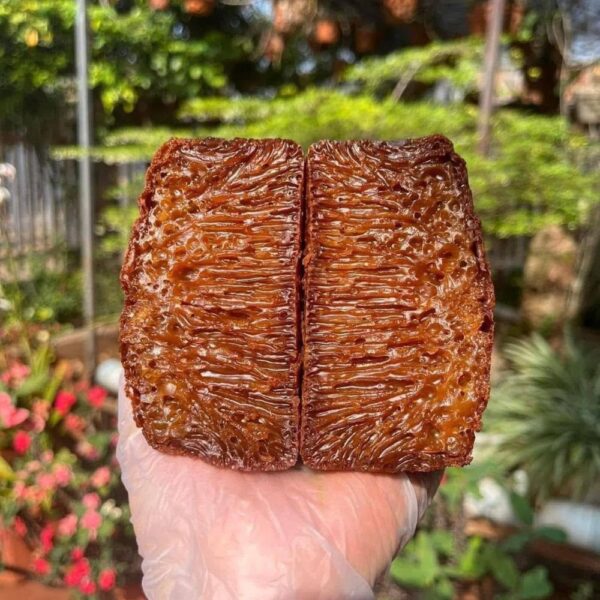 bánh bò thốt nốt
